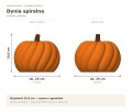 Lampka-LED-dynia-spiralna-25-cm-dekoracja-jesienna-z-zasilaczem-Kolor-brazowy-pomaranczowy.jpg