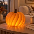 Lampka-LED-dynia-spiralna-25-cm-dekoracja-jesienna-z-zasilaczem-Marka-bez-marki.jpg