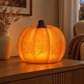 Lampka-LED-dynia-jesienna-z-liscmi-25-cm-dekoracja-z-zasilaczem-Marka-bez-marki.jpg